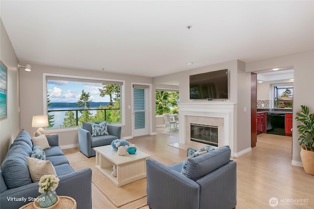 8260 53rd Ave W Unit 208, Mukilteo, WA 98275 - living area featuring light wood-style floors, a premium fireplace, and baseboards