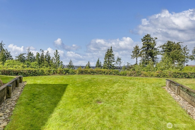 8260 53rd Ave W Unit 208, Mukilteo, WA 98275 - view of yard