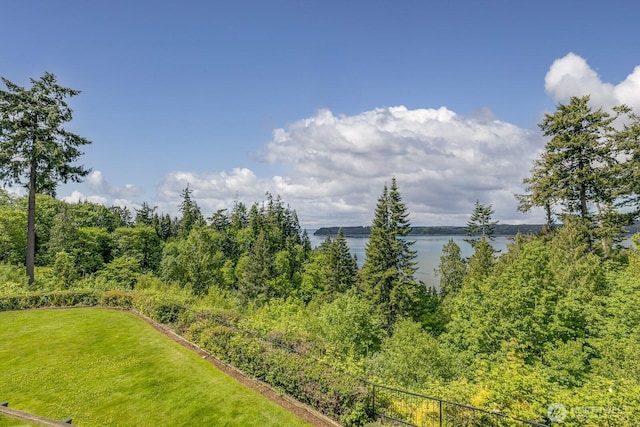 8260 53rd Ave W Unit 208, Mukilteo, WA 98275 - water view