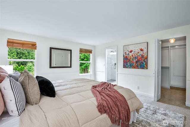 carpeted bedroom featuring a walk in closet, connected bathroom, and a closet