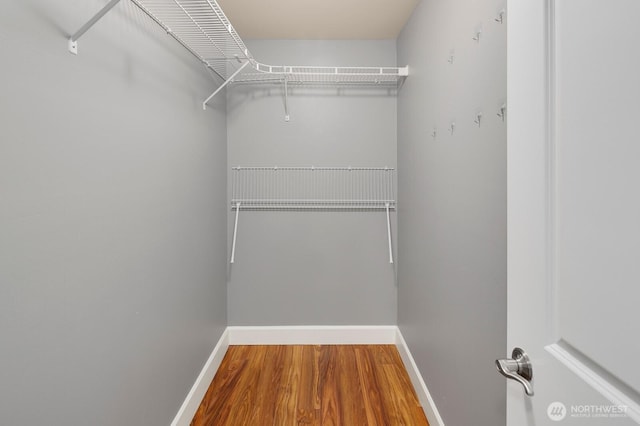 610 Aloha St Unit 303, Seattle, WA 98109 - spacious closet featuring wood finished floors