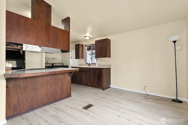 8322 19th Ave Court E Unit 11, Tacoma, WA 98404 - kitchen featuring separate washer and dryer, light wood-style flooring, dark brown cabinets, a sink, and ornamental molding