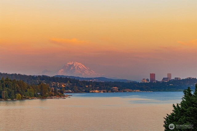 8553 NE Juanita Dr, Kirkland, WA 98034 - water view featuring a forest