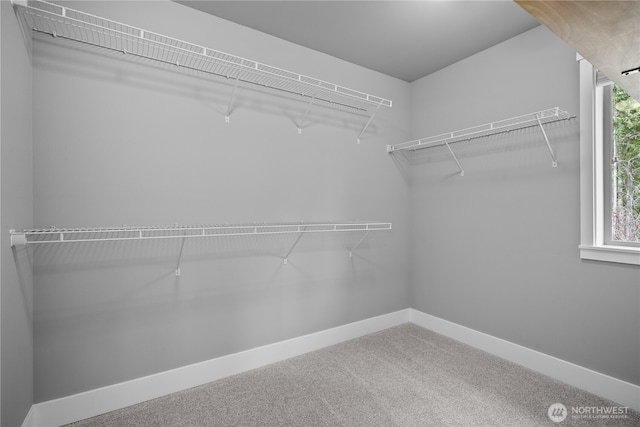 13127 184th Ave E, Bonney Lake, WA 98391 - spacious closet with carpet floors