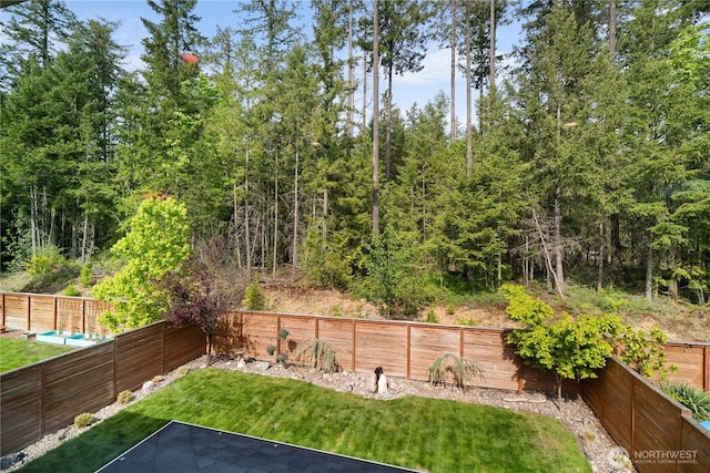 13127 184th Ave E, Bonney Lake, WA 98391 - view of yard