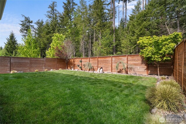 13127 184th Ave E, Bonney Lake, WA 98391 - view of yard