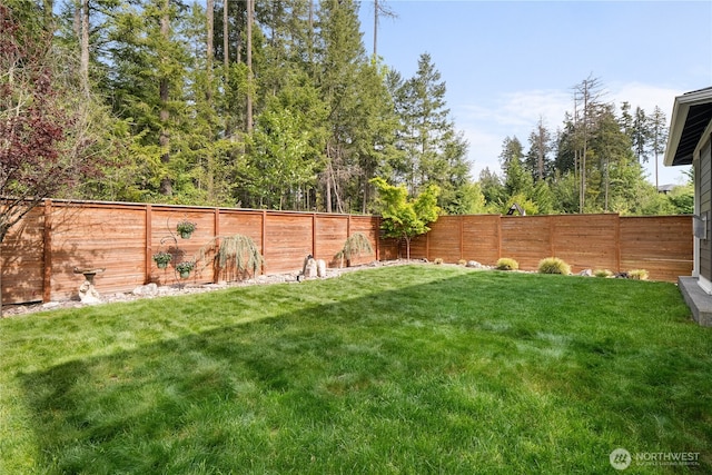 13127 184th Ave E, Bonney Lake, WA 98391 - view of yard
