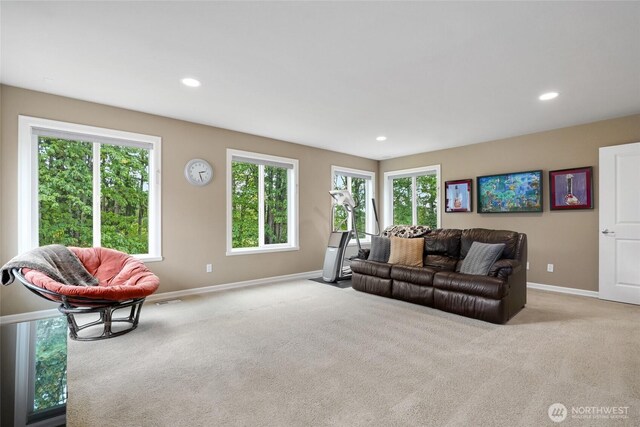 16260 205th Pl SE, Renton, WA 98059 - photo 32
