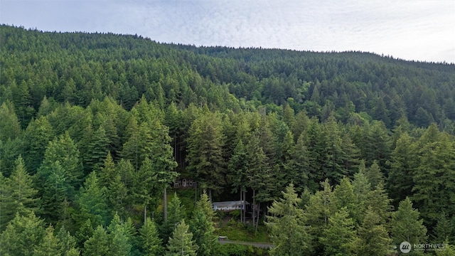 1059 Island Dr, Lummi Island, WA 98262 - mountain view with a heavily wooded area