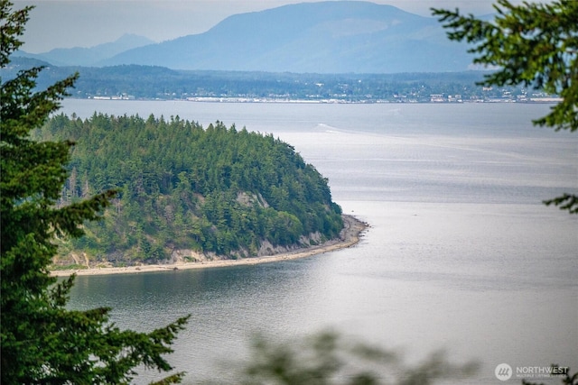 1059 Island Dr, Lummi Island, WA 98262 - water view with mountains