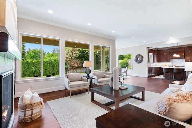 9827 NE 20th St, Bellevue, WA 98004 - living area featuring recessed lighting, dark wood-type flooring, ornamental molding, and baseboards