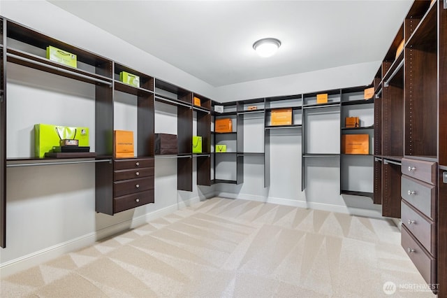 9827 NE 20th St, Bellevue, WA 98004 - spacious closet featuring carpet