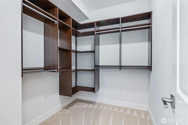 9827 NE 20th St, Bellevue, WA 98004 - walk in closet featuring carpet floors