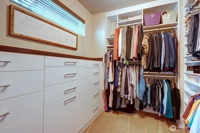 13406 SE 262nd St, Kent, WA 98042 - spacious closet featuring light colored carpet