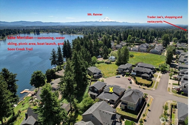 13406 SE 262nd St, Kent, WA 98042 - aerial perspective of suburban area with a heavily wooded area and a water and mountain view