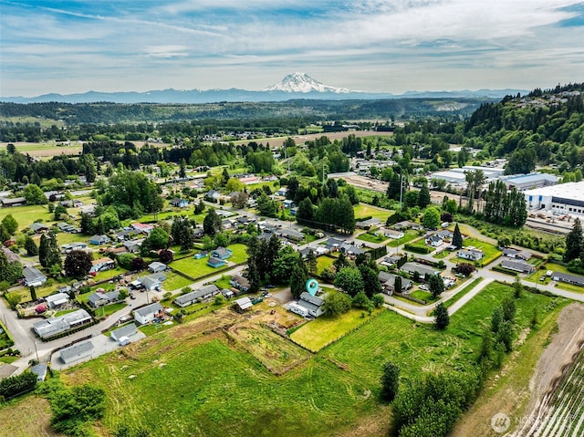 13925 80th St E, Puyallup, WA 98372 - aerial view of property's location featuring a mountain backdrop