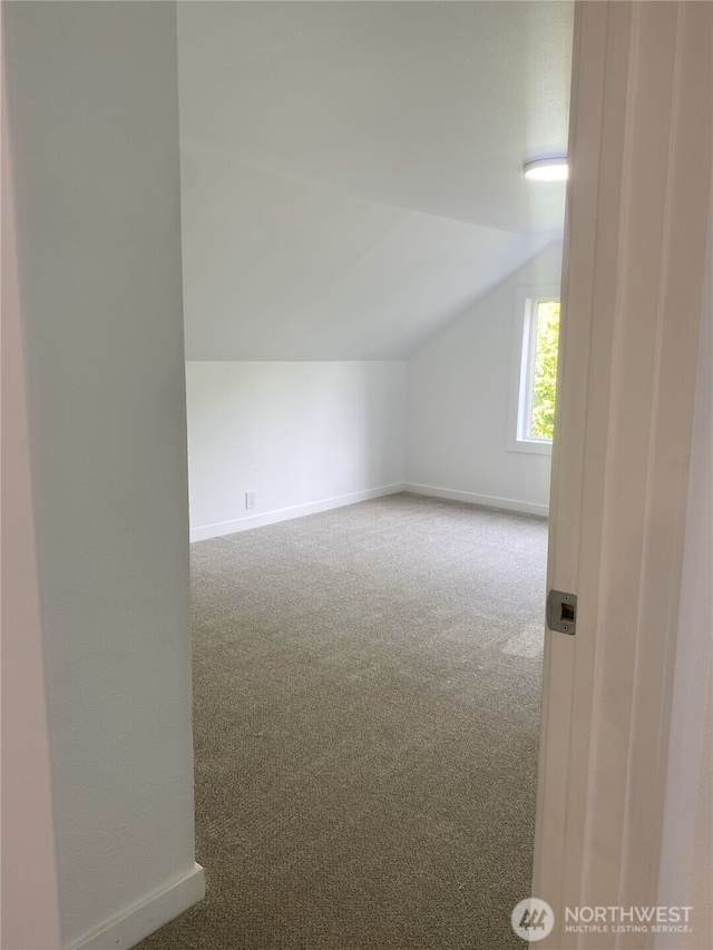 bonus room featuring vaulted ceiling, baseboards, and carpet flooring