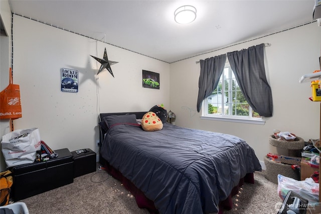 12128 167th Dr NE, Arlington, WA 98223 - bedroom featuring carpet flooring