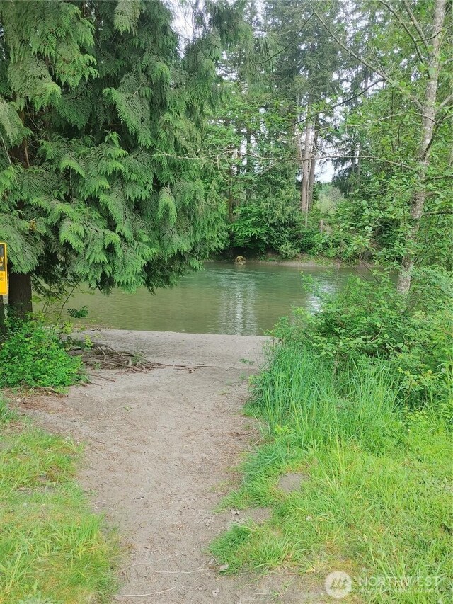 12128 167th Dr NE, Arlington, WA 98223 - water view