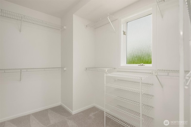 16910 73rd Pl W, Edmonds, WA 98026 - walk in closet featuring light carpet