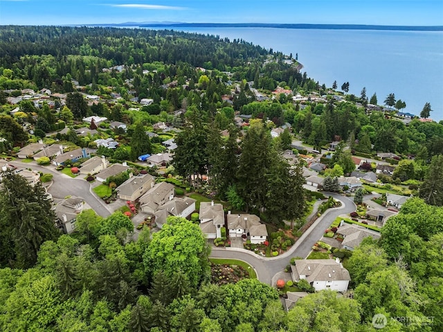16910 73rd Pl W, Edmonds, WA 98026 - aerial view of property's location with nearby suburban area, a large body of water, and a forest