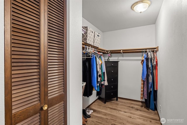 8516 196th St SW Unit 311, Edmonds, WA 98026 - walk in closet featuring light wood-style floors