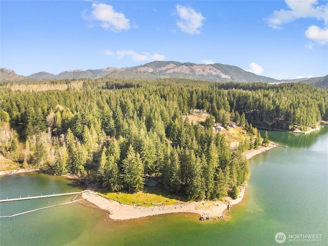 160 N Sundown Dr, Hoodsport, WA 98548 - photo 7