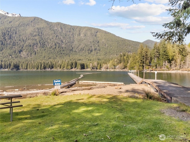 160 N Sundown Dr, Hoodsport, WA 98548 - photo 14