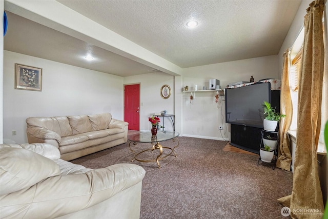 237 Reeds Rd, Touchet, WA 99360 - living area with a textured ceiling and carpet floors