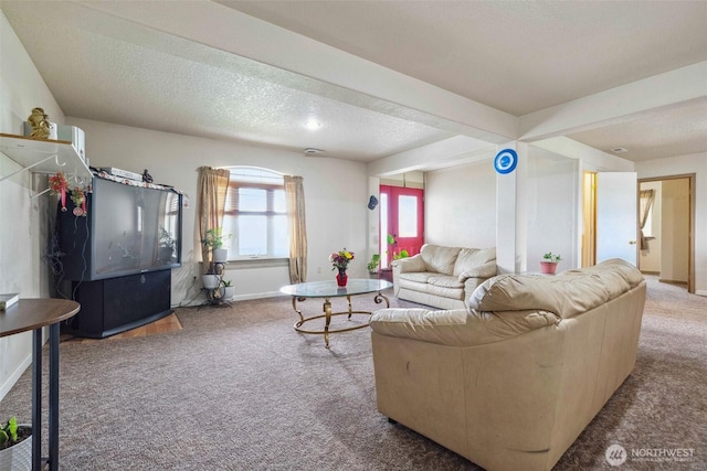 237 Reeds Rd, Touchet, WA 99360 - living area featuring carpet floors, baseboards, and a textured ceiling