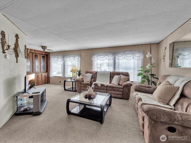 1415 84th St SE Unit 159, Everett, WA 98208 - living room with carpet