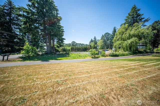 19308 8th St E, Spanaway, WA 09387 - view of grassy yard