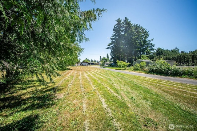 19308 8th St E, Spanaway, WA 09387 - view of green lawn
