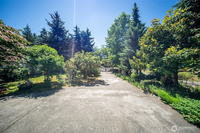 19308 8th St E, Spanaway, WA 09387 - view of concrete driveway