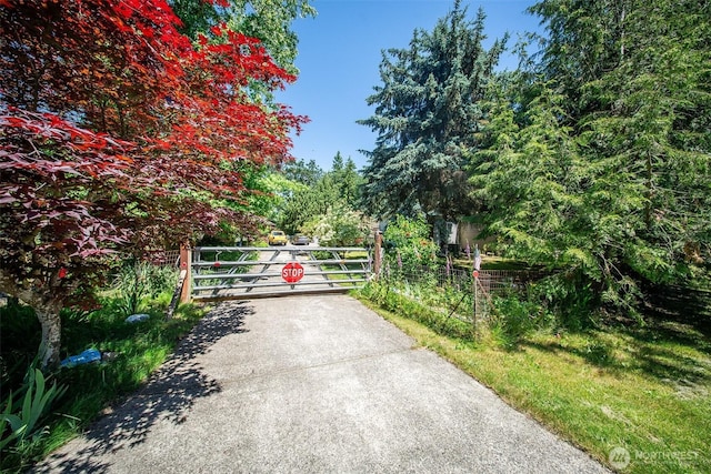 19308 8th St E, Spanaway, WA 09387 - photo 5