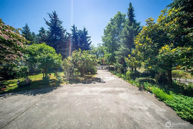 19308 8th St E, Spanaway, WA 09387 - photo 9