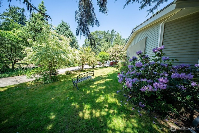 19308 8th St E, Spanaway, WA 09387 - photo 13