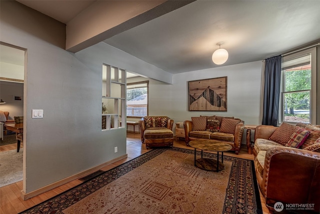 living room featuring healthy amount of natural light and wood finished floors