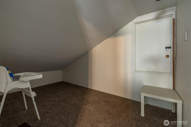 bonus room with lofted ceiling and carpet flooring