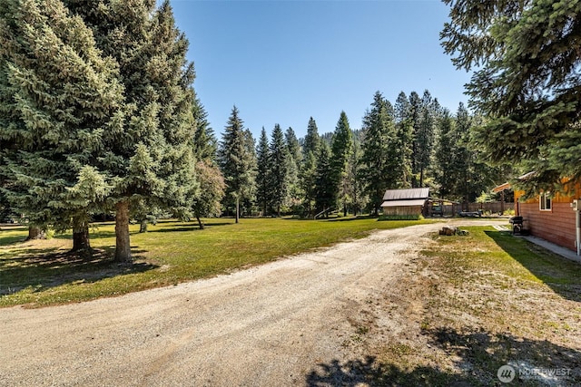 view of dirt / gravel driveway