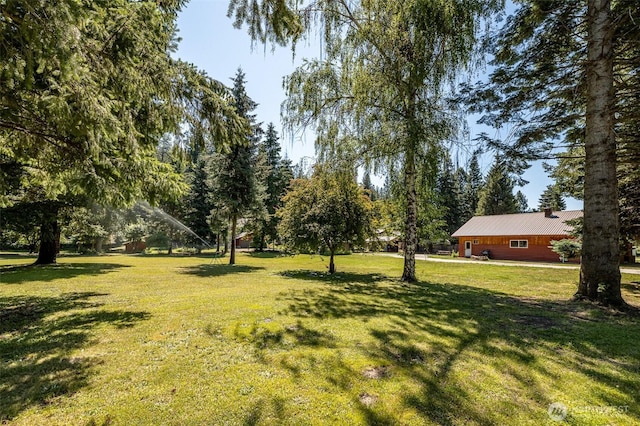 view of green lawn