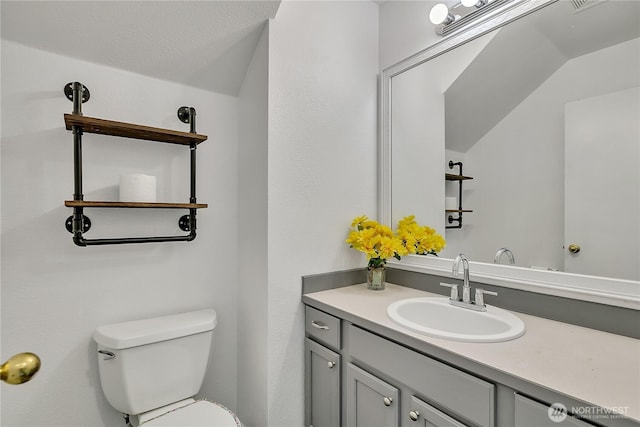 1108 200th Street Ct E, Spanaway, WA 98387 - half bathroom with vaulted ceiling, toilet, and vanity