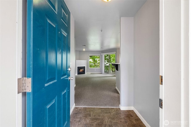 2900 W Marina Dr Unit 303, Moses Lake, WA 98837 - entrance foyer featuring baseboards, a warm lit fireplace, and dark carpet