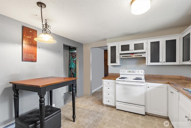 714 S 43rd St, Tacoma, WA 98418 - kitchen with electric range, under cabinet range hood, a textured ceiling, glass insert cabinets, and a baseboard heating unit