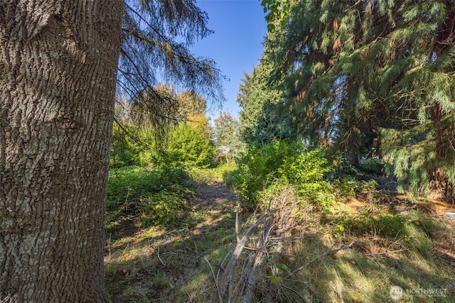 12900 Beverly Park Rd, Mukilteo, WA 98275 - photo 8