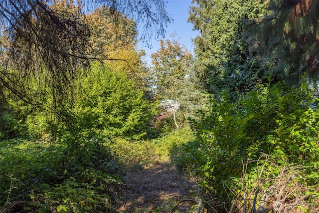12900 Beverly Park Rd, Mukilteo, WA 98275 - photo 9