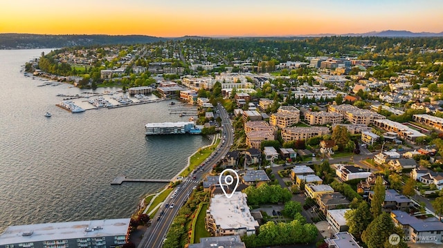 725 1st St S Unit 104, Kirkland, WA 98033 - bird's eye view of a water and mountain view