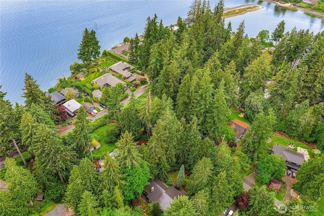 5471 NE Foster Rd, Bainbridge Island, WA 98110 - aerial view of property's location featuring a nearby body of water and nearby suburban area