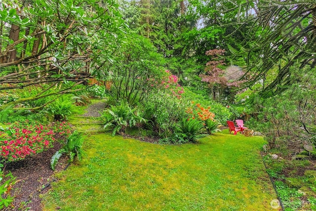5471 NE Foster Rd, Bainbridge Island, WA 98110 - view of green lawn