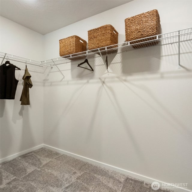 146 Veranda Ln SE, Olympia, WA 98513 - photo 12